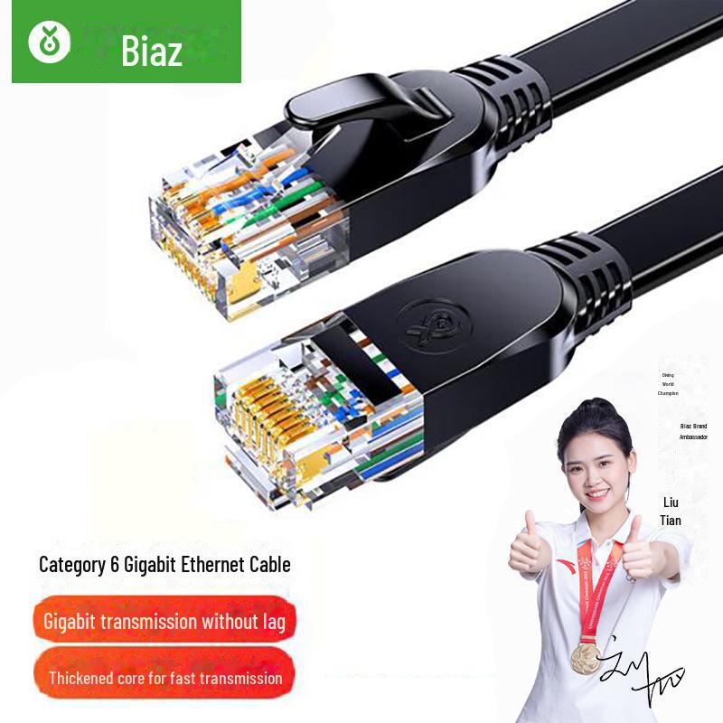 Biyaz CAT6 Gigabit Unshielded Flat Network Cable for High-Speed Home and Computer Connections
