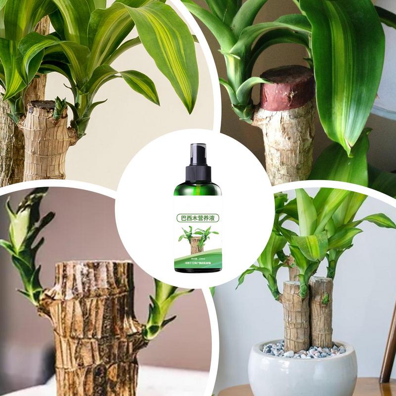 150 ml Brasilianischer Holzdünger Brasilianisches Holz Hydrokultur-Nährstofflösung Brasilianisches Holz Blüte-Nährstofflösung