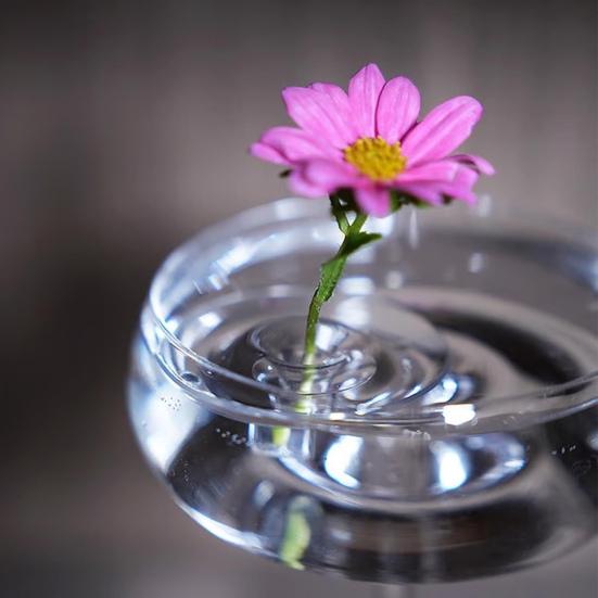 Floating Flower Stem Holder Clear Floral Arrangement Holder Floating Flower Vase