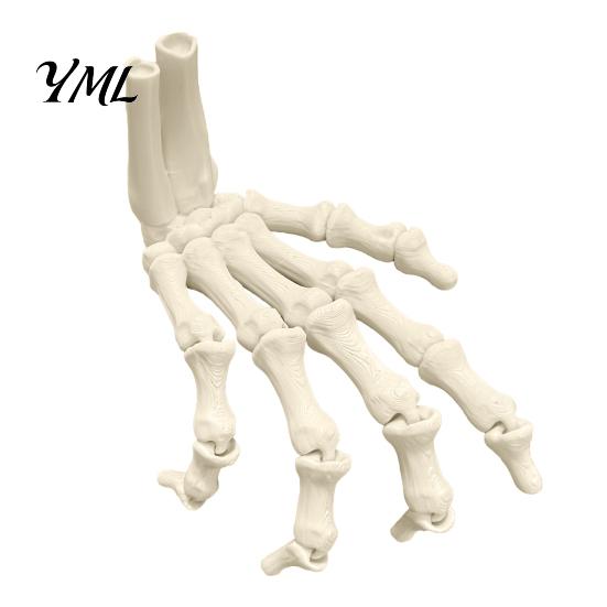 Decoraciones de Esqueleto de Plástico Duradero Manos de Halloween, Modelo de Huesos de Mano Impreso en 3D, Atrezzo Realista para Fiesta Garra de Hueso Espeluznante para Decoración del Hogar