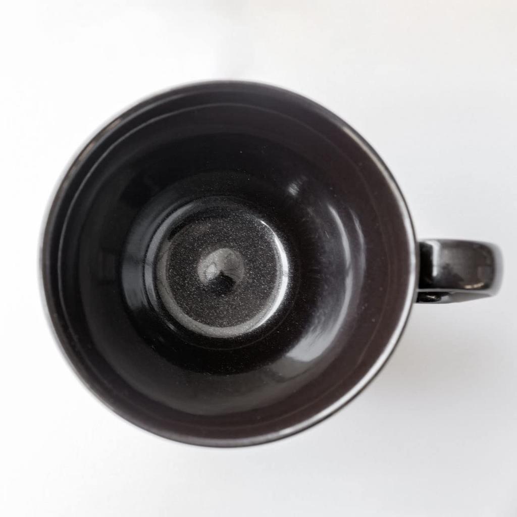 Wired Beans Eternal Mug, Double-Walled Arita Ware (39Arita), 270ml (Silver Crystal Black, 1)