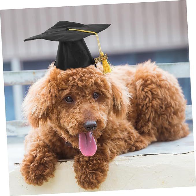 

Graduation Caps with Yellow Tassels, Small Animal Bachelor Hats, Adjustable Pet Graduation Photo Props and Holiday Accessories 1 Pack чорний