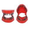 Denture Drill Bit Holder Teeth Model Shaped Full Opening Screwdriver Bit Organizing Holder with 28 Drill Bits