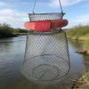 Foldable Stainless Steel Fish and Crab Basket with Steel Wire