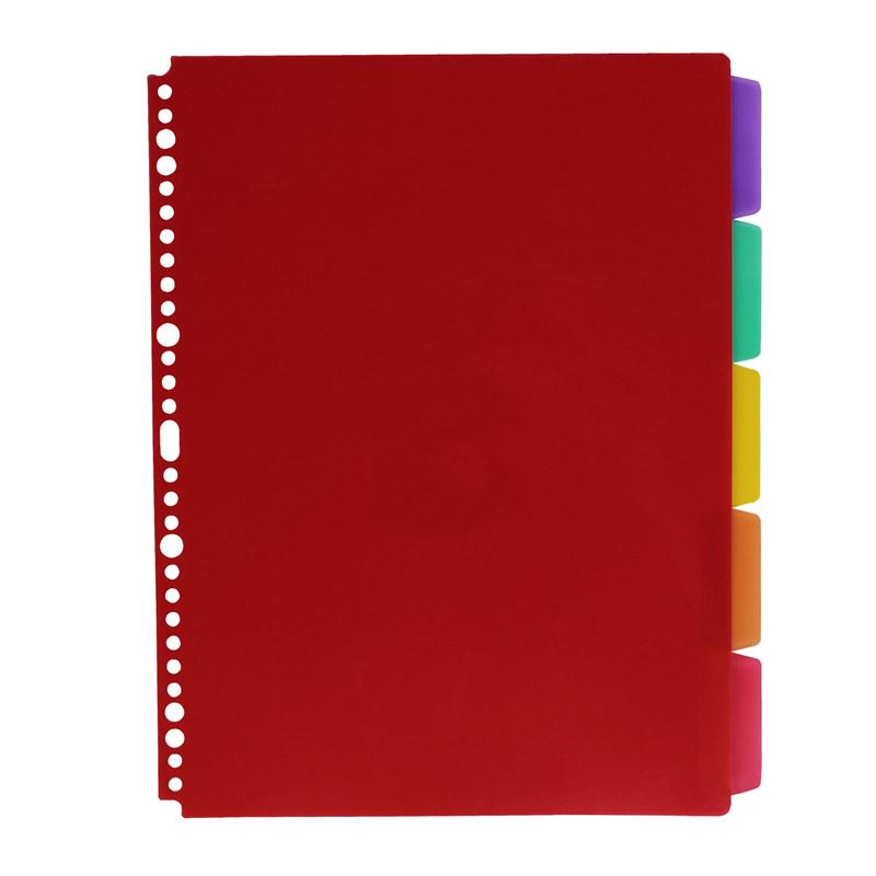 Clear A4 D-Ring Four-Hole Binder - Transparent Cover for Loose-Leaf Pages.