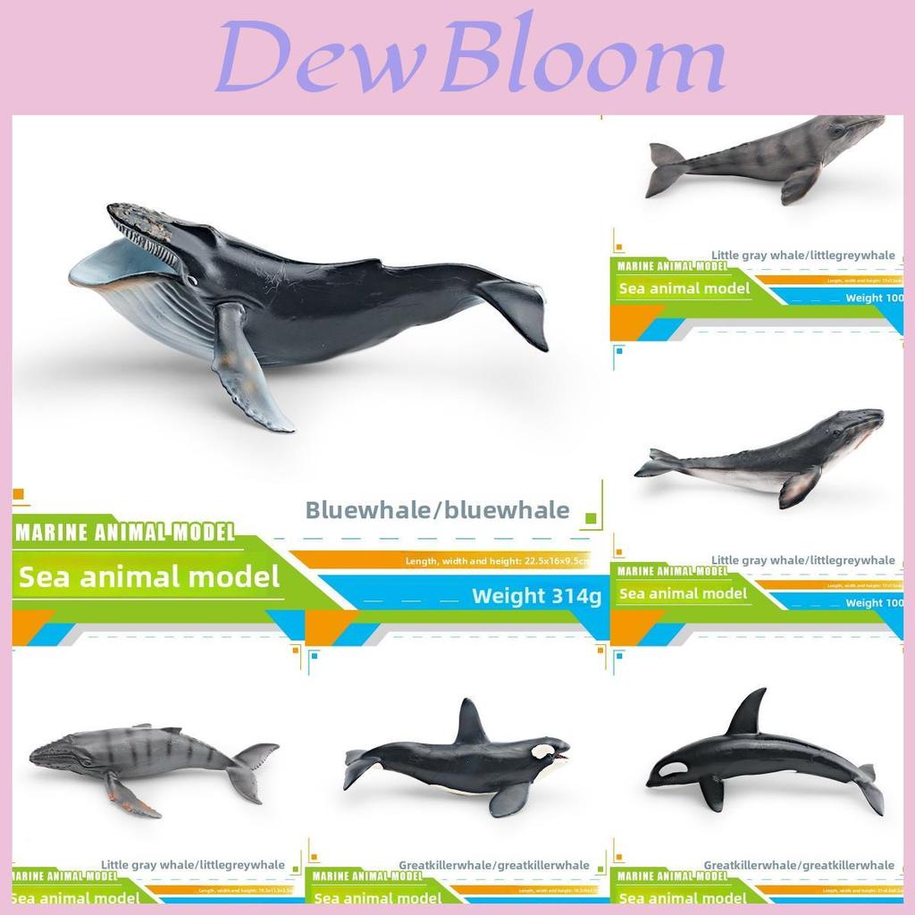 Ensemble de modèles en PVC d'animaux marins pour enfants avec des figures de cétacés réalistes pour le jeu éducatif