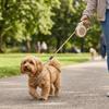 5M Multi Colors Pet Walking Leash ABS Shell Dog Chain Retractable Dog Leash  Small Pet Use