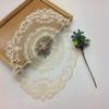 Latest Oval Lace Embroidery Table Place Mat Ins Christmas Pads Cloth Placemat Mug Coffee Tea Cup Coaster Doily Kitchen Table Decoration