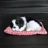 Cani di Peluche ABS Ornamento per Auto Decorazione Cane Dormiente di Simulazione Giocattolo Ornamento Decorazione Cruscotto Auto Accessori Auto Carini
