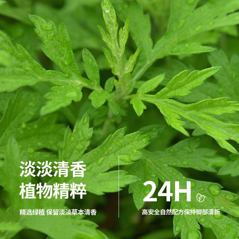 Meias Masculinas de Verão Finas de Algodão Puro Invisíveis Antibacterianas Sem Costura Antiderrapantes e com Calcanhar que Não Sai