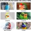 Cute Bird Costume, Parrot Cloak Cosplay Photo Prop, Bird Clothes for Budgerigar, n Greys Parakeet, Conure, Cockatiel, Mynah, Love Birds, Finches