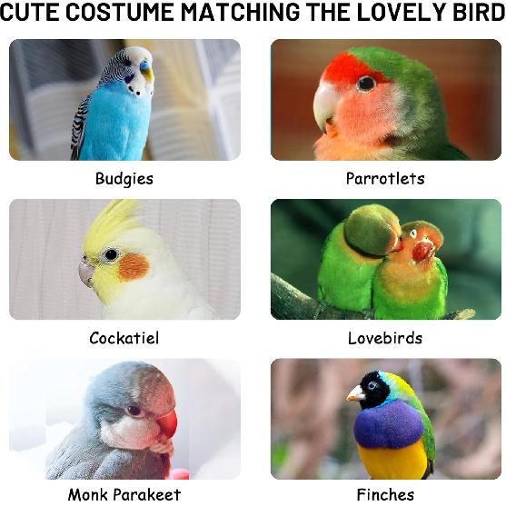 Cute Bird Costume, Parrot Cloak Cosplay Photo Prop, Bird Clothes for Budgerigar, n Greys Parakeet, Conure, Cockatiel, Mynah, Love Birds, Finches