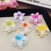 6 Random Egg Flower Hair Clips, Non Slip and Firm, Exquisite and Beautiful, Hair Accessories, Suitable for Gift Giving