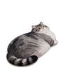 Tappetino da Bagno in Terra Diatomacea a Forma di Gatto Cartone Animato, Assorbente Acqua Antiscivolo Resistente all'Usura Zerbino per Bagno Ingresso WC