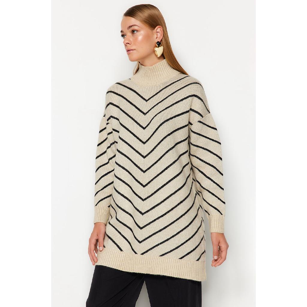 Stein Gestreifter Rollkragen Strickwaren Pullover Tctaw24ak00101