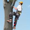 VEVOR Tree Climbing Spikes Set, Height-Adjustable Tree Climbing Gear with Straps & Spike Protectors, 159 Kg Load Capacity