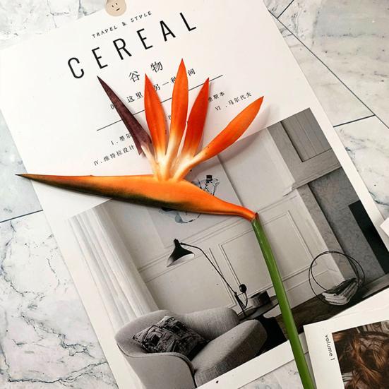 Utilă Simulare Floare Durabilă Ecologică Decorativă