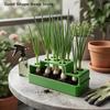 Tägliches Hydroponik-Frühlingszwiebel-Anbaugerät Selbstbewässerungssystem für Frühlingszwiebeln Schnelle Bewurzelung Haus Büro GartenbauTägliche Produkte