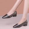Premium shallow single shoes women's 2025 autumn new comfortable soft sole thick heel work leather shoes flat women's shoes