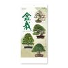 New Japan Calendar 2026 Bonsai Calendar with 770 X NK152 Wall-Mounted Chronology, 350mm,