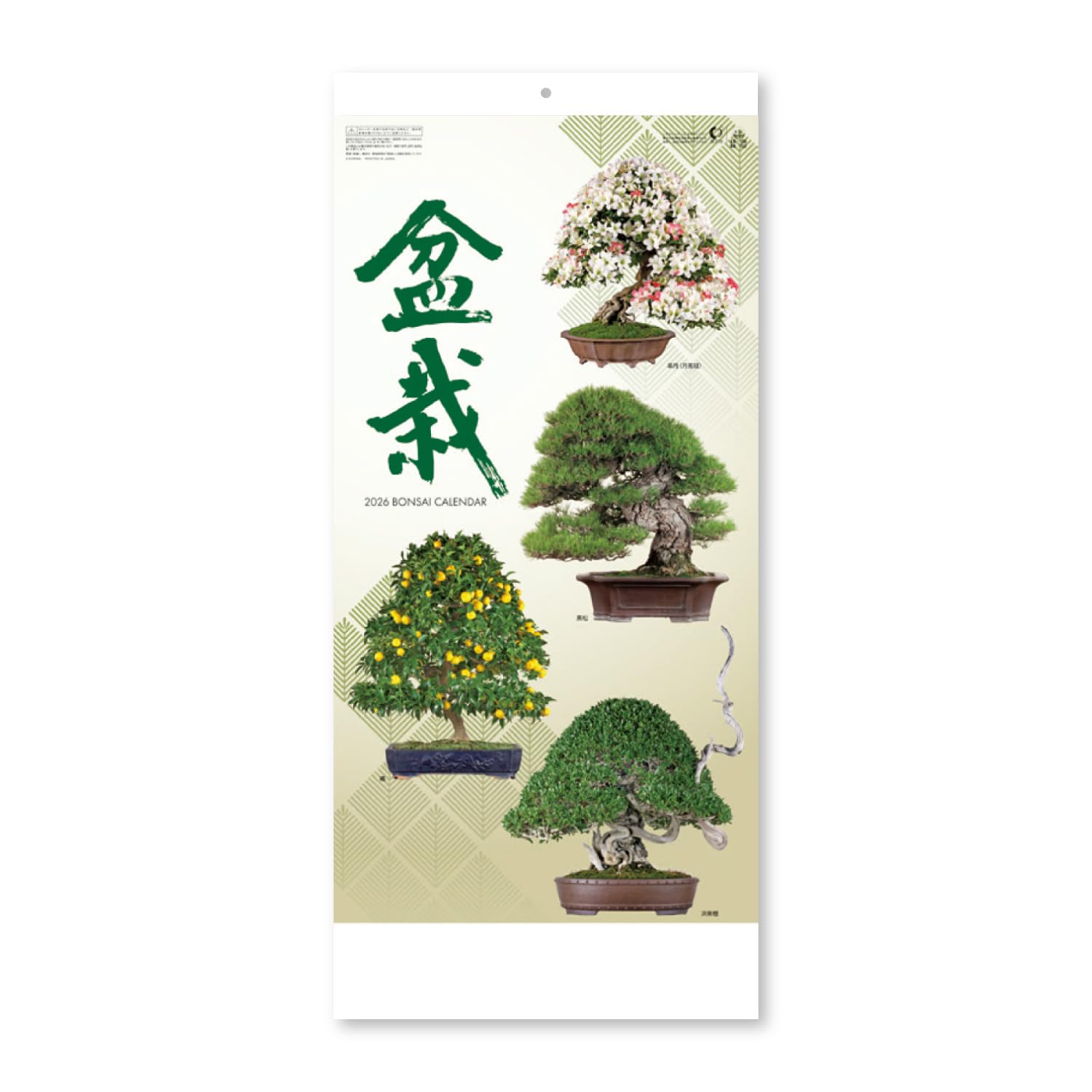 

New Japan Calendar 2026 Bonsai Calendar with 770 x NK152 Wall-Mounted Chronology, 350mm,