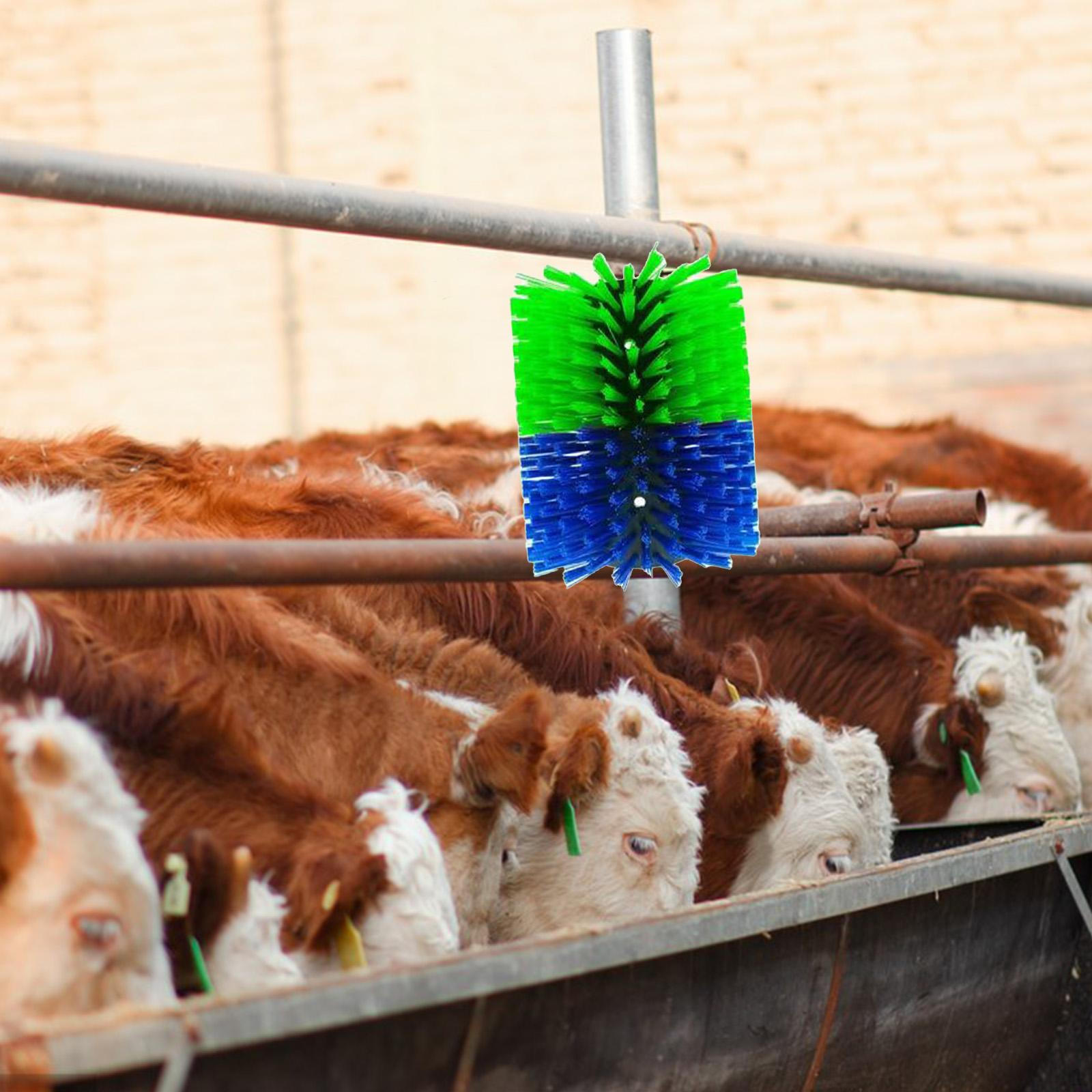 

Cattle Scratching Brush, Cleaning Tool, 7.5" X 8.5" Efficient Horse for Yellow and Blue