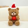 Santa Hat Teddy Bear Plush Toy Cute Cartoon Children Girls Holiday Gift Doll
