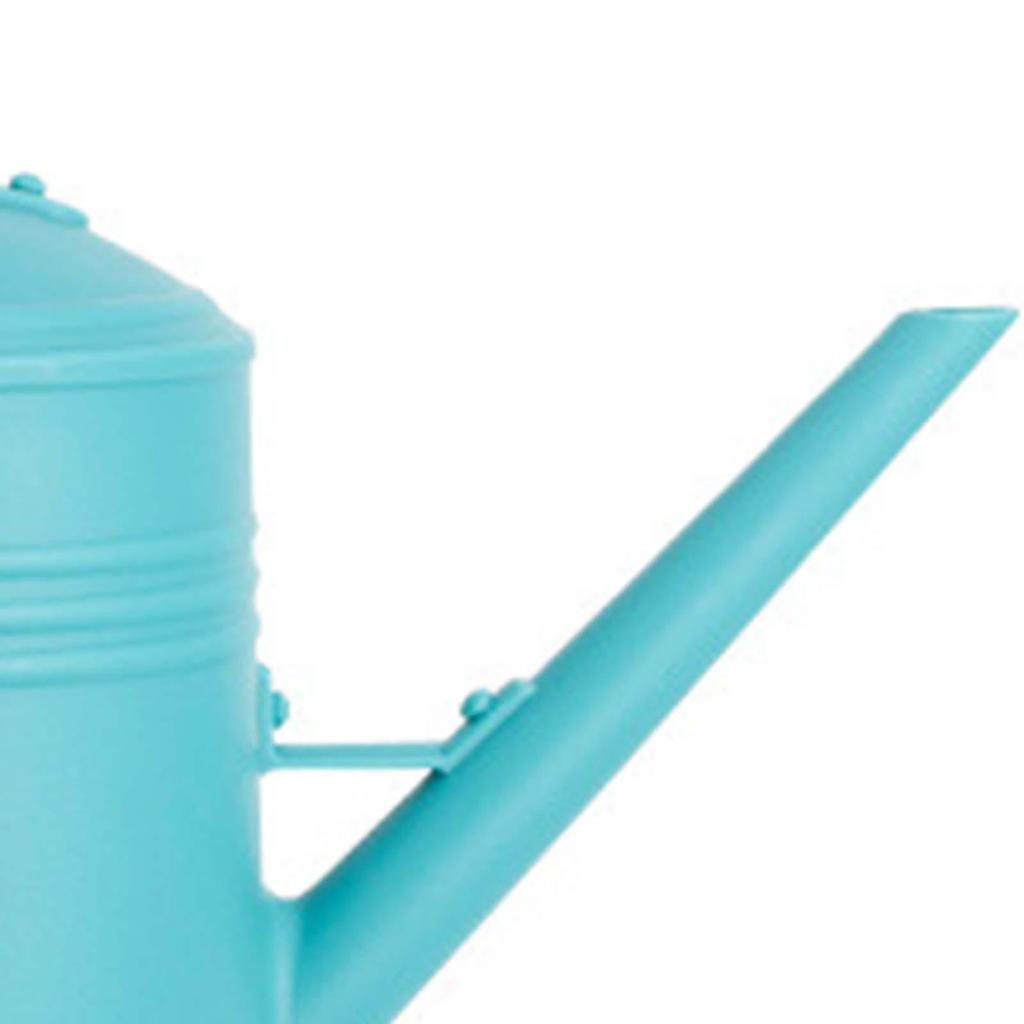 Watering Can Garden Tool Set Gardening Hand Tools 2L Simple Large Capacity Watering Pot Water Can for Yard Garden Flower Home