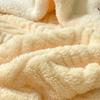 Winter Blanket Coral Fleece Blankets Office Shawl Nap Blanket Air Conditioning Duvet Bedding Warm Sheets 200*230cm