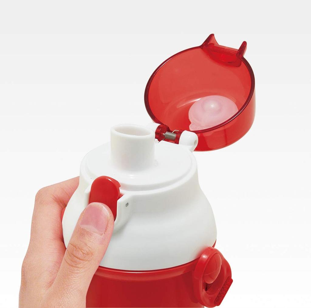 Skater Antibacterial Plastic Water Sanrio Hello Stylish Girl Made in Kids' Ag+ Bottle, 480ml, Kitty, Design, Japan, PSB5SANAG-A