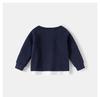 Boys' Spring Two-Piece Outfit: Hoodie and Long Pants Set for Kids
