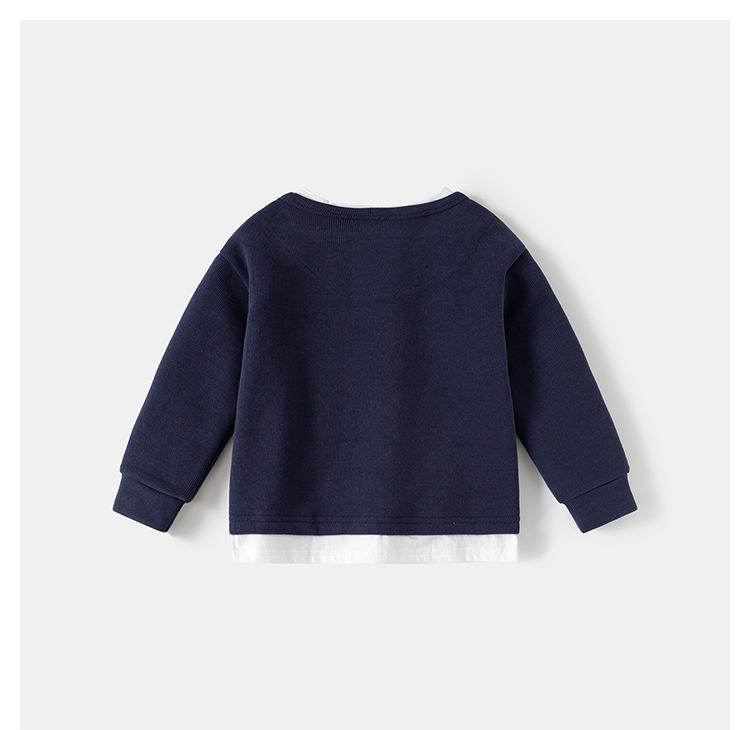 Boys' Spring Two-Piece Outfit: Hoodie and Long Pants Set for Kids