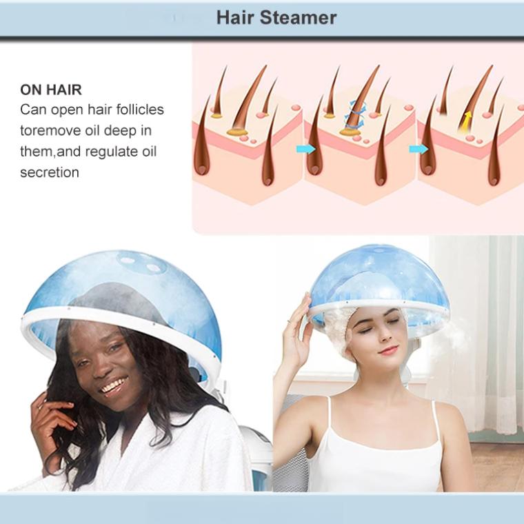 KSKIN Hair Steamer Machine Humidifier Hot Nano Mist Sprayer Hair Moisturizing Hydration Home Salon Steamer