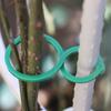 100Pcs Garden Vine Strapping Clips Plant Bundled Buckle Ring Holder Tomato