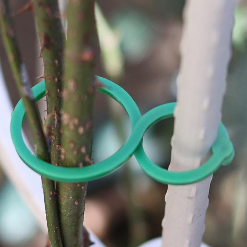 100Pcs Garden Vine Strapping Clips Plant Bundled Buckle Ring Holder Tomato