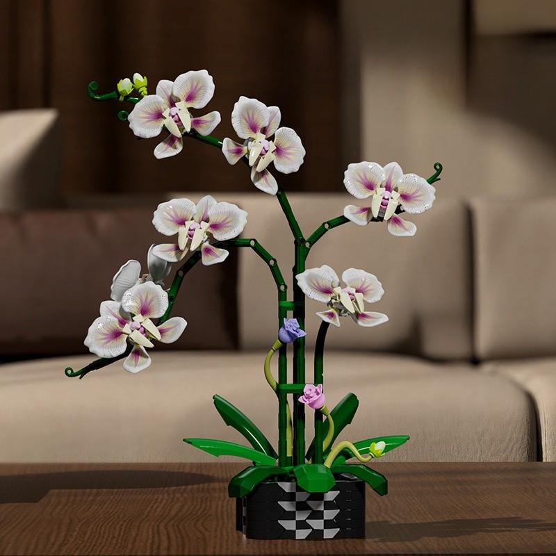 Building Cymbidium Plastic Block Flower Toy Set For Diy Creative Toy Building