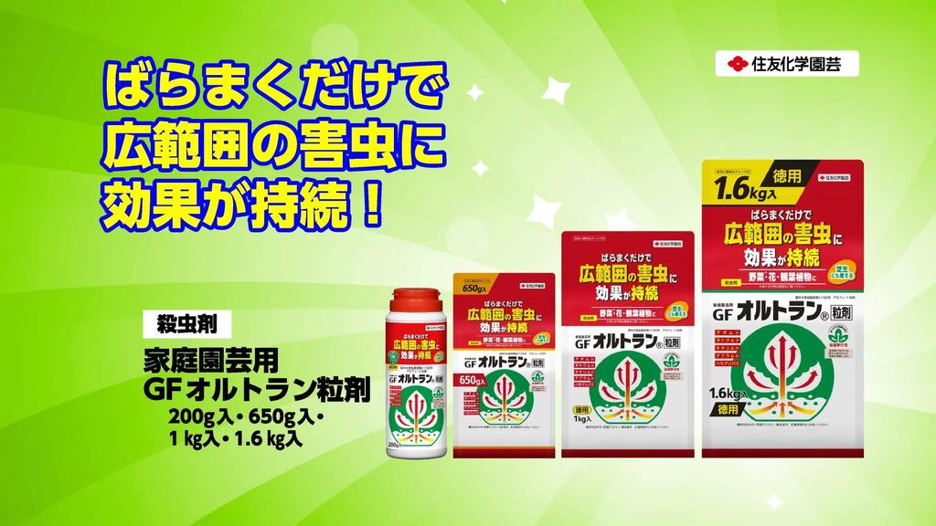 Sumitomo Chemical Gardening GF Ortran Granules Insecticide for Home for Aphids Gardening, 1.6kg, Systemic,