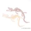 3D Printed Mosasaur Skeleton Realistic Prehistoric Marine Reptile Model with Movable Jaw & Joints, Desktop Decor,Educational Toy