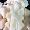 Pool Maintenance Kit 1/2/4/5/7Pcs Cleaner Sponge Pads for WINNY HJ1102P Robotic Cleaner, Sponges Washable Filter Foam Vacuum Debris Scrubber,