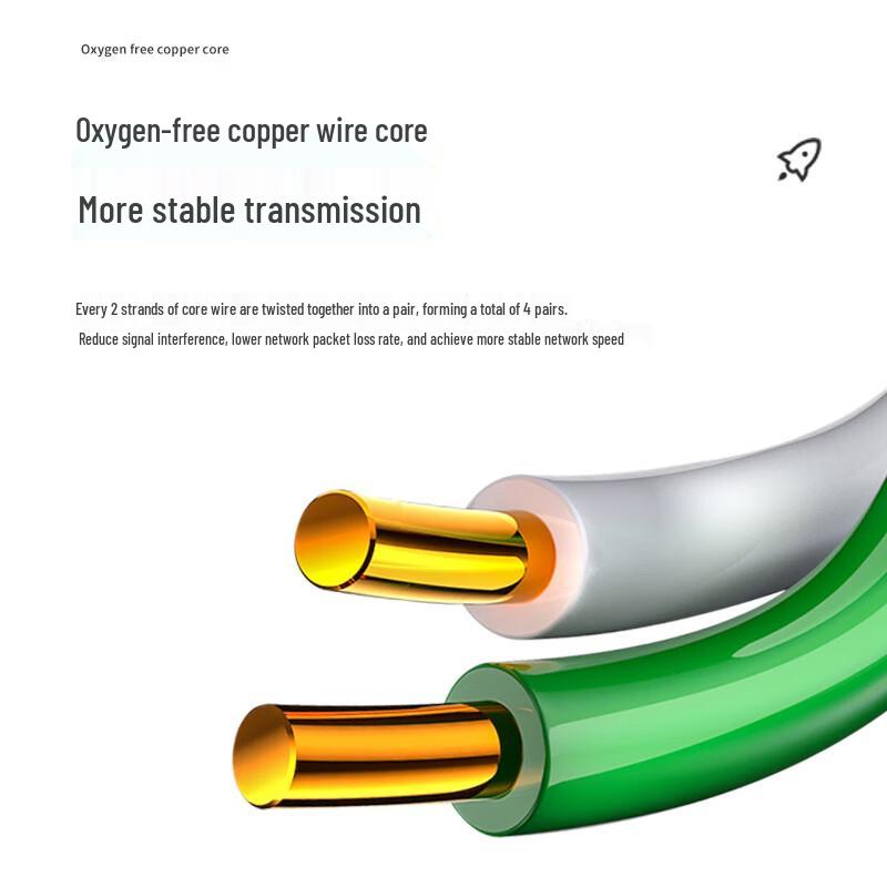 FUWEISHENG Cat5e Armored Outdoor Ethernet Cable
