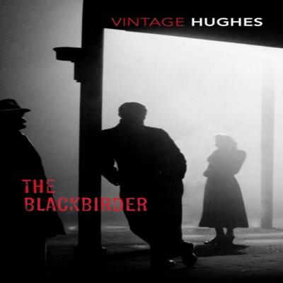 The Blackbirder by Dorothy B Hughes Paperback Book 9781784870492