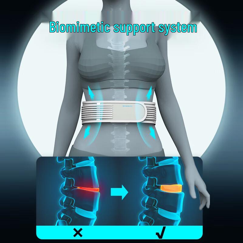 HEZHENG Professional Lumbar Support Belt HZ-Y10