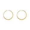 Vein Circle Large Earrings Design Senior Sense Temperament Light Luxury Earrings Exaggerated Elegant Simple Lightweight Minimalist Hoop Earrings