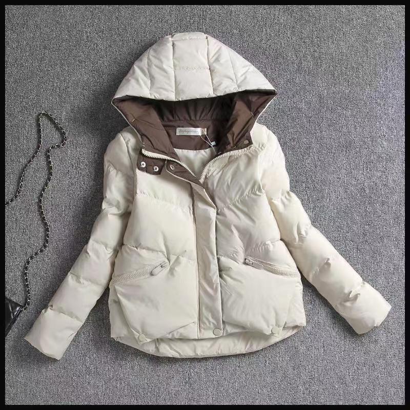 Trendy 2023 Women's Hooded Petite Cotton Jacket – Age-Reducing, Fashionable Short Cotton-Padded Coat