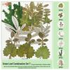 Handmade Pressed Flower Bookmark and Epoxy Sticker Pack with Real Leaf and Plant Specimens for DIY Face Makeup.