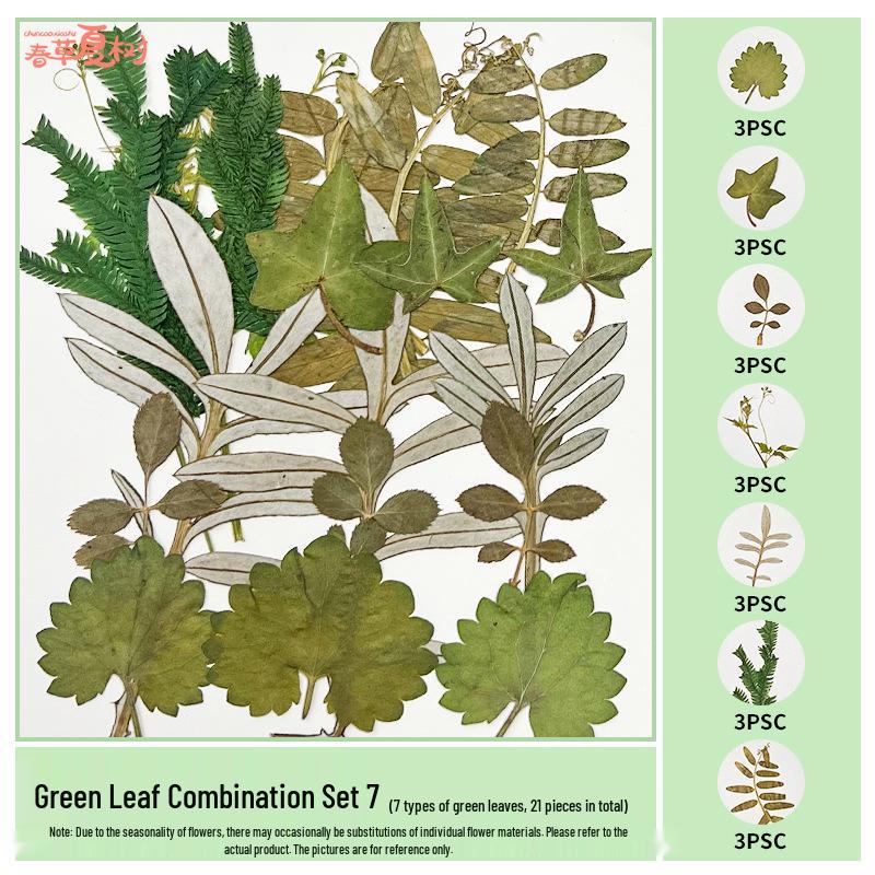 Handmade Pressed Flower Bookmark and Epoxy Sticker Pack with Real Leaf and Plant Specimens for DIY Face Makeup.
