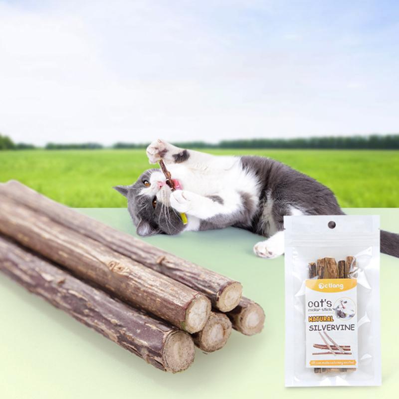 5pcs Pet Cat Snacks Stick Natural Wood Polygonum Stick Chew Molar Cleaning Teeth Tools Pet Supplies