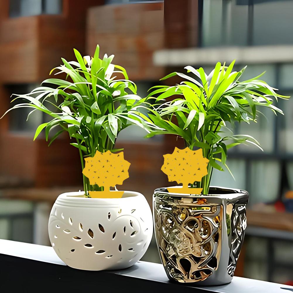 Insect Traps Protect The Plant Double Sided Gnat Traps Non-Toxic and Odorless Sticky Board Traps for Garden Plants Kitchen