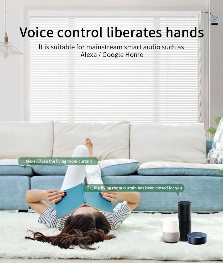 Graffiti APP Smart Voice & Remote Control Wi-Fi Timer for Curtain Motor Switch