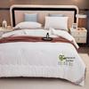 Tangna All-Season Anti-Bacterial Polyester Fiber Quilt